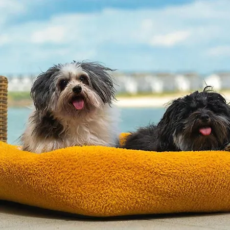 Bolliwerk10 Ольпениц